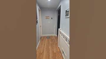 Ameriglo ghost rings sig p365 xmacro w/ ramjet and align tactical thumb ledge