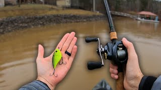 How to Catch Bass in Cold Muddy Water (Winter Fishing Tips)