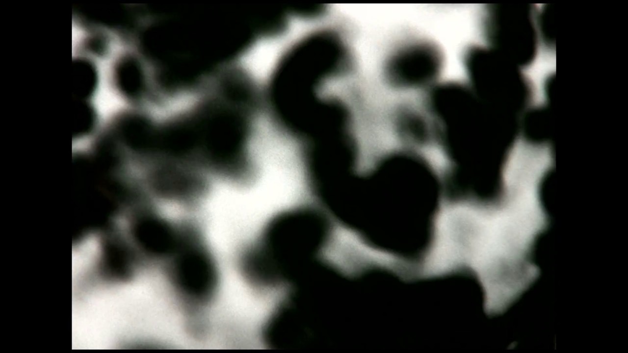 Bruce Wood: Edge Forces, 1976