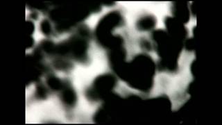 Download Lagu Bruce Wood: Edge Forces, 1976 MP3