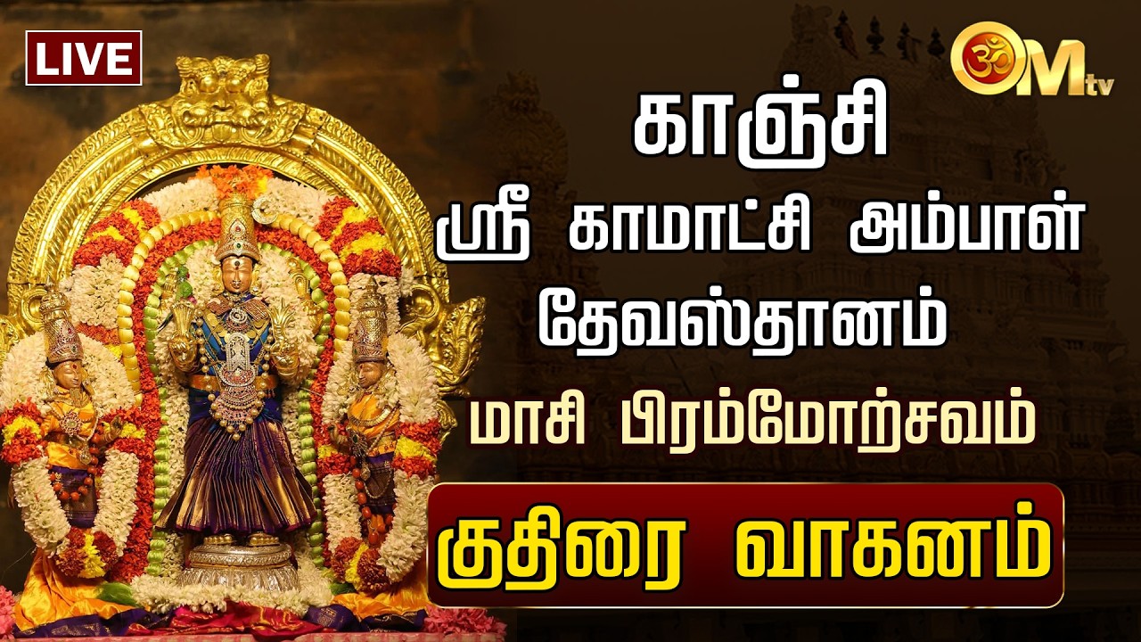 🔴LIVE: காஞ்சி ஸ்ரீகாமாட்சி அம்பாள் தேவஸ்தானம் - பிரம்மோற்சவம் - குதிரை வாகனம் | OM TV