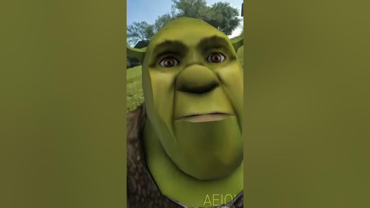 Shrek Meme Face Discover more interesting Animation, Anime