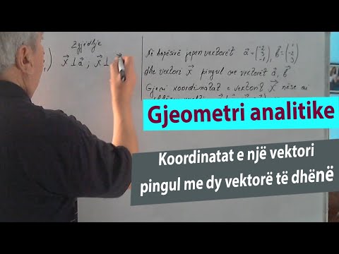 Video: Kur dy vektorë janë ortonormalë?