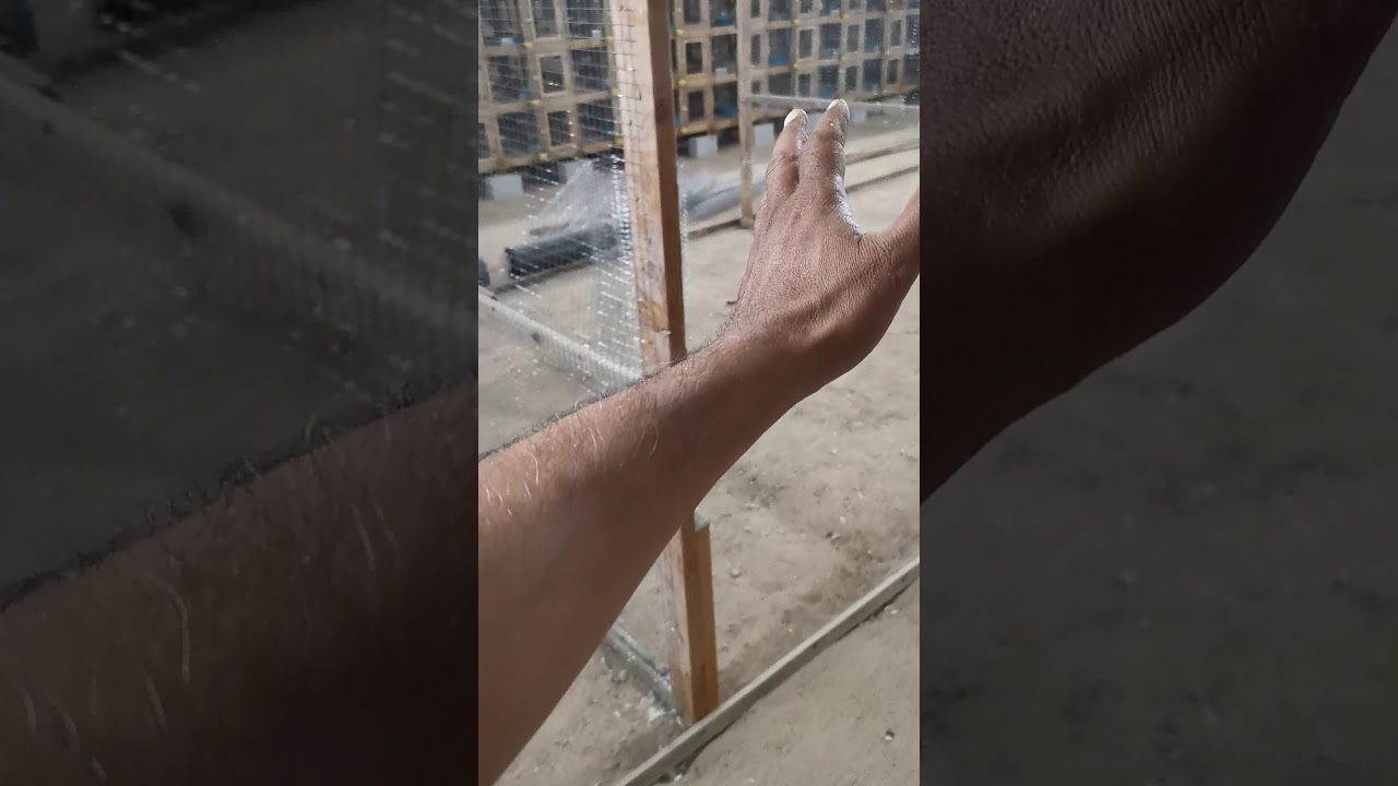 تربية الحمام (الحلقه 39) اختيار عدد الحمام