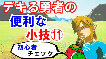 ゼルダの伝説ブレスオブザワイルド爆笑ネタ