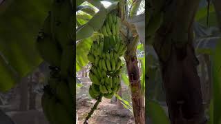 2023 Was An Exceptional Year For Amandine Fabien And Their Mercedes-Benz Unimog Micheline .