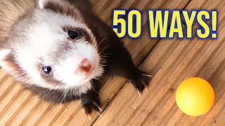 50 Ways to Entertain Your Ferrets