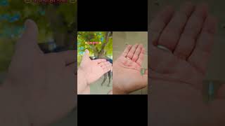 funny hand #shorts #hand#men ai