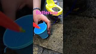 Feed my snails with me!