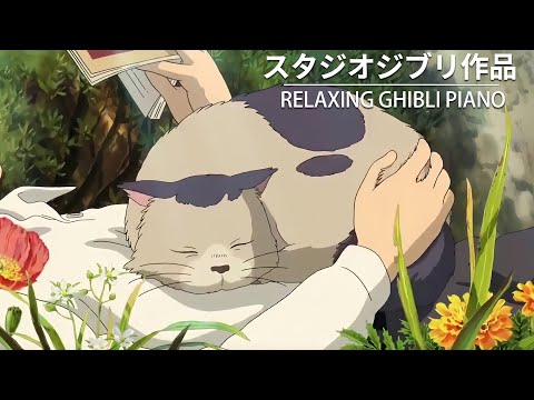 Studio Ghibli BGM「 日々をリラックスさせるための史上最高のジブリ音楽 」 爽やかな朝時間を彩るBGM -