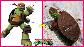 TMNT Real Life 😱 LATEST 2024 by AnimatedFacts 23,892 views 9 days ago 8 minutes, 8 seconds