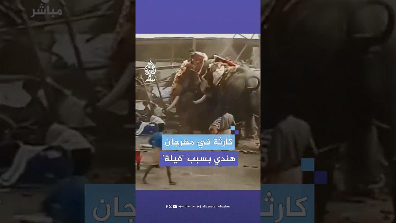 أدى إلى مقتل 3 أشخاص وإصابة عشرات.. فيلة غاضبة تخرج عن السيطرة داخل معبد خلال مهرجان هندي