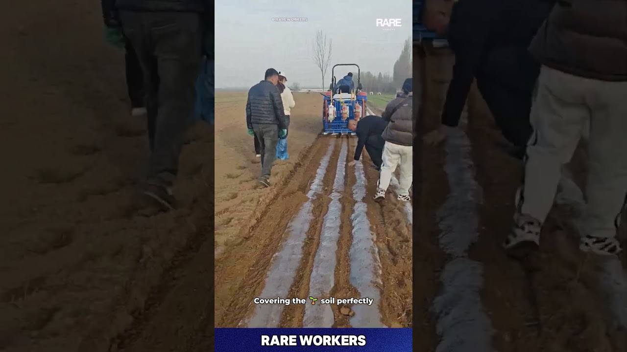 Modern Agriculture: Tractor Laying Plastic Film