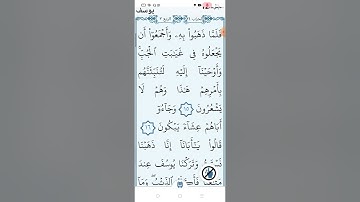 سورة يوسف صفحة (٢٣٧)