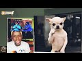 Legendary Alien Skin Master Wuliriza Pay Attention 