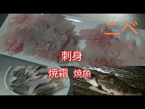 魚料理 ニベ 刺身 焼霜造り 塩焼き Youtube