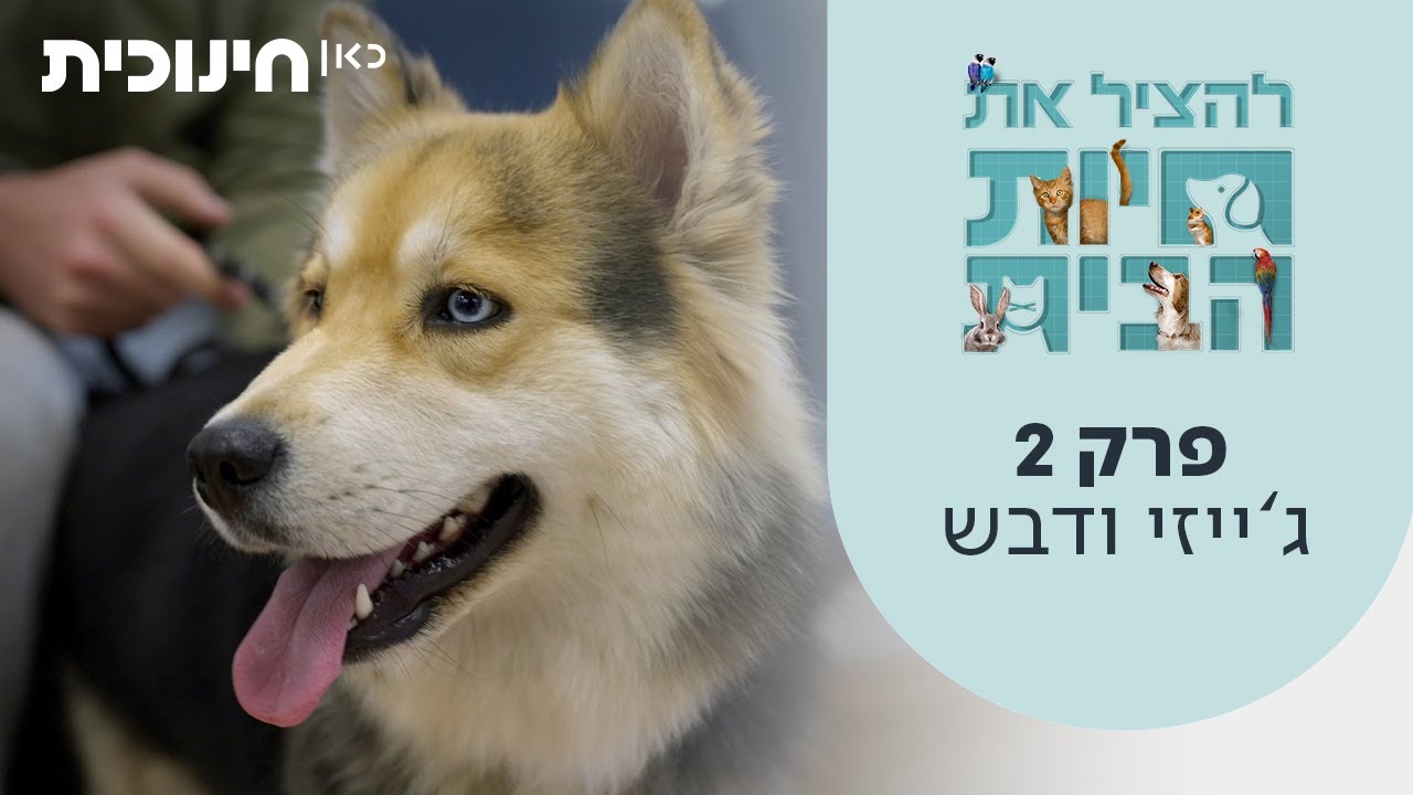 להציל את חיות הבית | פרק 2 - ג'ייזי ודבש