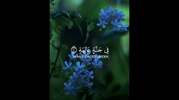 القارئ_هزاع_البلوشي سورة_الغاشية #القرآن_الكريم #سورة_الغاشية #القارئ_هزاع_البلوشي