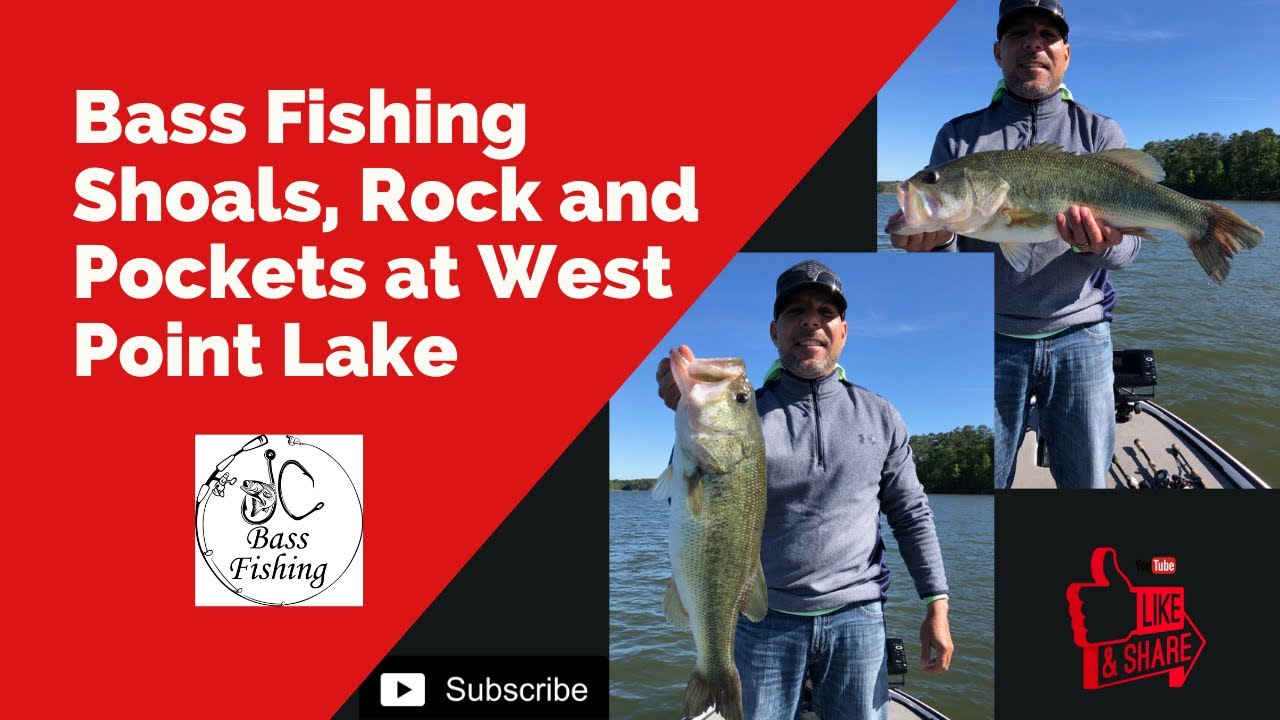 Bass Fishing Shoals, Rocks and Pockets at West Point Lake 