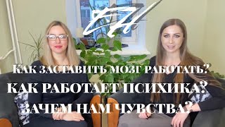 видео: Как заставить мозг работать? Что такое мышление? Зачем и как его развивать. картинка: Как заставить мозг работать? Что такое мышление? Зачем и как его развивать.