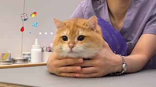 소빵이의 코피 그리고 첫 건강검진.. (🤦🏻‍♀️ㅠㅠㅠㅠㅠㅠ)