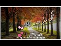 tum humko yaad rakhna whatsapp status |ahmed_writes.1