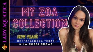 Zoa Collection | Check out my purchases at Reefapalooza Texas & KW Coral Show