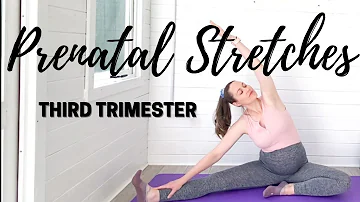 MY THIRD TRIMESTER PREGNANCY STRETCH ROUTINE | Prenatal Stretches | LEMon Yoga