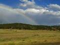 Montana rainbow
