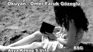 Ömer Faruk Gözoğlu:Ne Gerek Vardı / şiir: Aysar