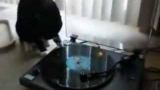 Mix Master Crack Attack - My Cat Scratchin'