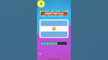 Guess the Flag Challenge | Flag Game #flagquiz #guesstheflag #quiz #shorts