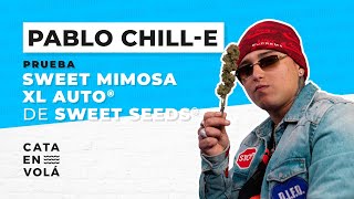 PABLO CHILL-E GETTING HIGH