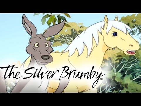 The Silver Brumby | Episodes 21-25 2 HOUR COMPILATION (HD - Full Episode)