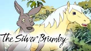 The Silver Brumby Episodes 21-25 2 Hour Compilation Hd - Full Episode