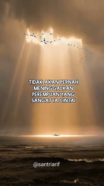 laki laki setia shorts #story #status #shorts