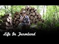 Helpful tips for splitting firewood by hand