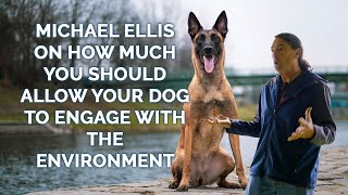 Michael Ellis on How Much You Should Allow Your Dog to Engage with The Environment