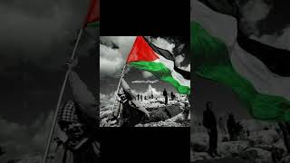 اللهم إرحم إخواننا المستضعفين في غزة اللهم لا نملك لهم إلا الدعاء