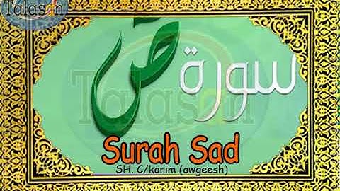 038 Surah Sad - Cabdikariim Aw Geesh ^ الشيخ عبد الكريم - سورة سبأ