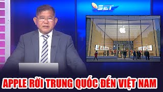 Bất Ngờ Không Thể Tin Nổi Apple rời Trung Quốc đến Việt Nam - Cập Nhật Tin Tức 24h Mới Nhất