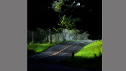 Thumbnail of Treehouse - Alex G (Lyrics)