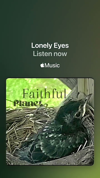 Lonely Eyes from my album First  Recordings 1998. Re recorded on my album Faithful Planet 2024.