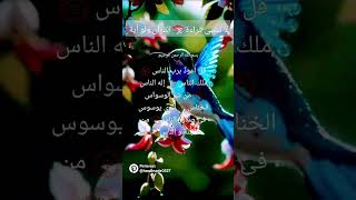 سورة الناس بصوت هشام الهراز حفظه الله