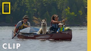 Family living in the wild builds a sail to cross the bay | Home in the Wild