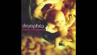 Drosóphila  Pastilha Efervescente  2006 FULL ALBUM