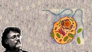 Terence Mckenna - The Devine Organism
