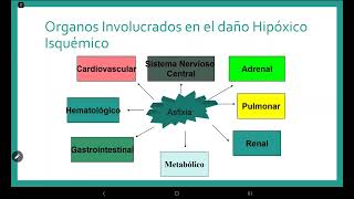 TEORÍA 20 - ASFIXIA NEONATAL, ENCEFALOPATÍA HIPÓXICA ISQUÉMICA, HEMORRAGIA INTRACRANEAL.