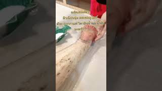สปาตัวระเบิดขี้ไคล พร้อมสูตรผิวใสที่สามารถนำไปต่อยอดเพิ่มมูลค่าบริการในร้านได้ค่ะ #สปาตัว #สปาผิว