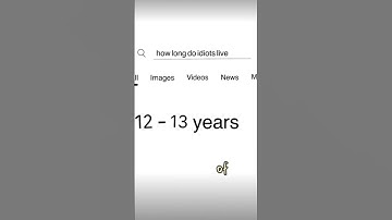 I’m still standing